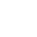 Numéro 5